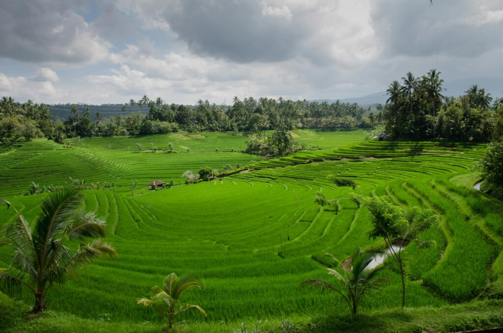 Bali Tropical Paradise & Cultural Escape Tour