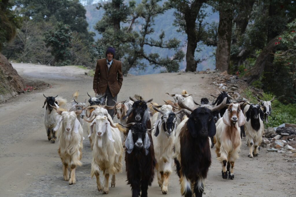 Amazing Thailand Discovery Tour