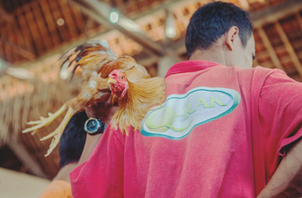 Bali Tropical Paradise & Cultural Escape Tour